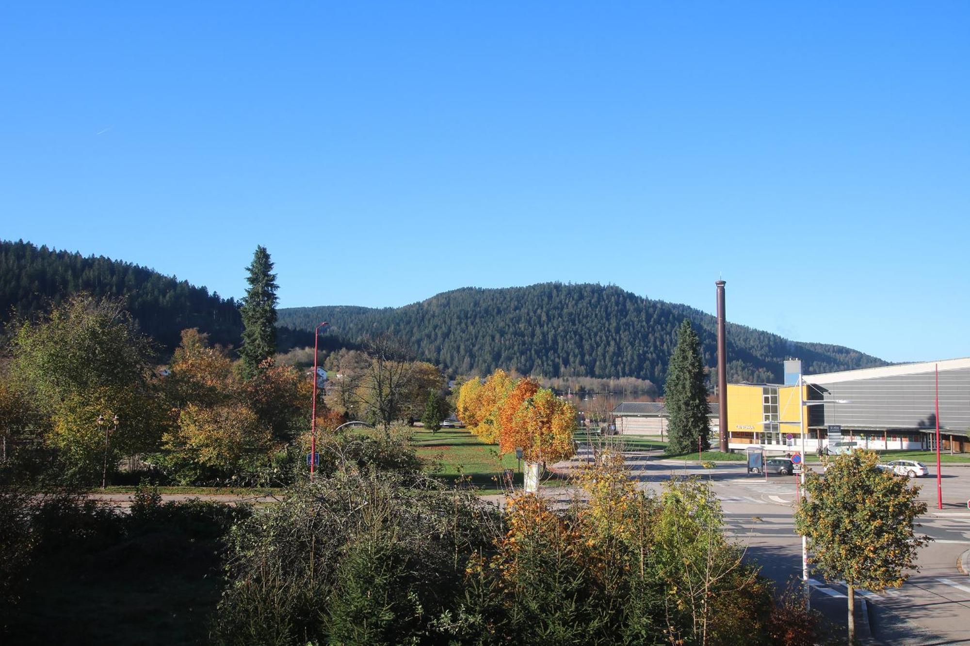 Les Loges Du Parc Hotel Gérardmer Стая снимка